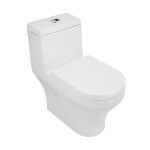 Sanitario Fussion