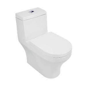 Sanitario Fussion